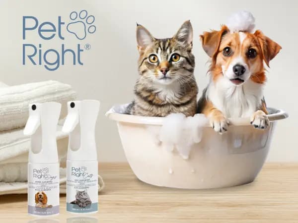 Pet Right