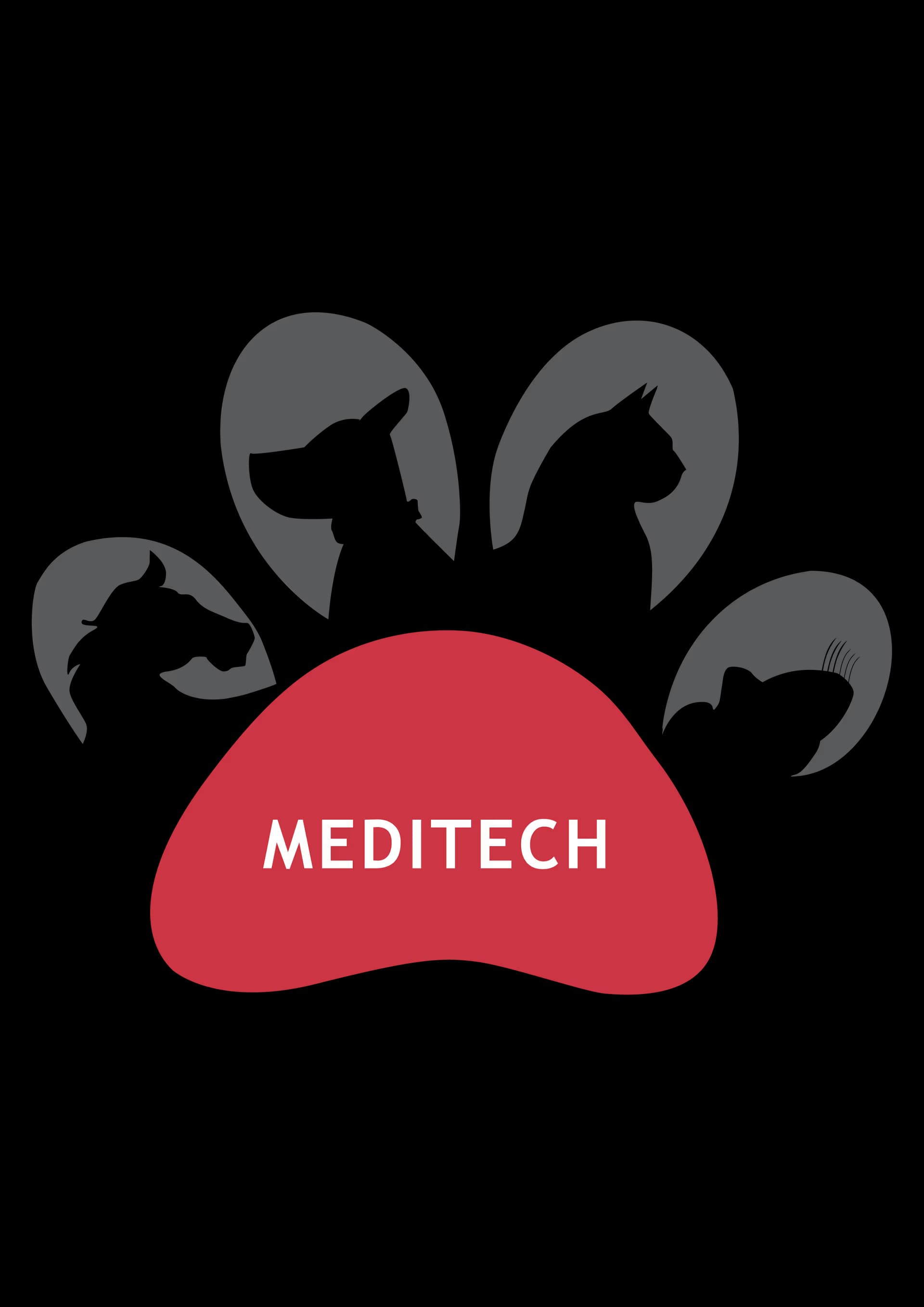 TT-TM300  logo