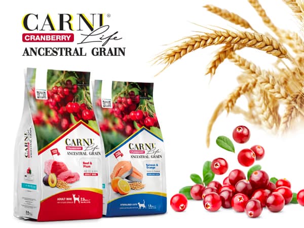 Carni Life Cranberry