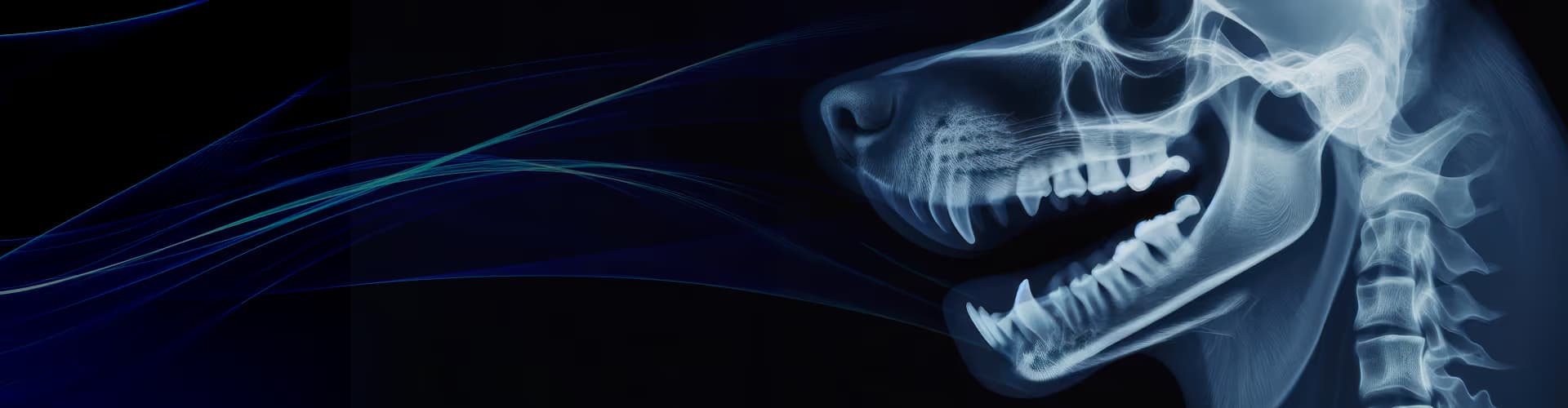 Dental