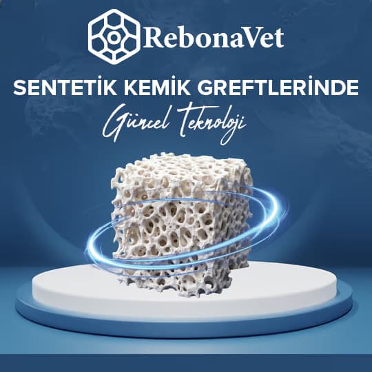 RebonaVet