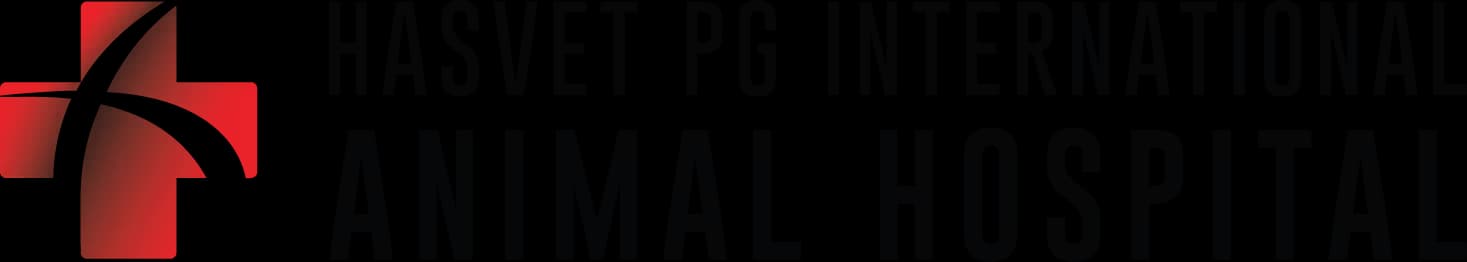HASVET PG INTERNATIONAL ANIMAL HOSPITAL